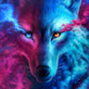 Meet your Posher, Gavin